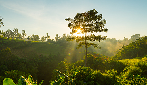 AGS Network Pivotal in Mobilitas Sustainability Report